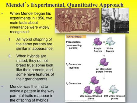 Mendel’s Experimental, Quantitative Approach