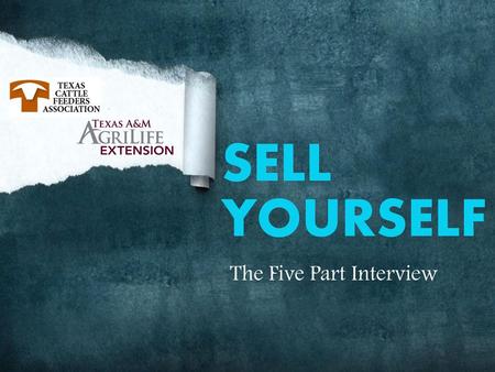 SELL YOURSELF The Five Part Interview