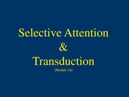 Selective Attention & Transduction (Module 16)