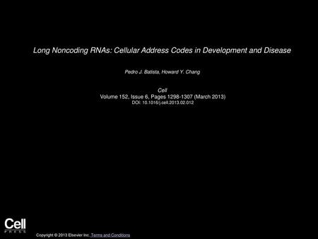 Long Noncoding RNAs: Cellular Address Codes in Development and Disease