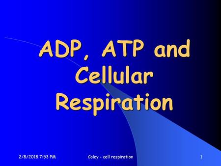 ADP, ATP and Cellular Respiration