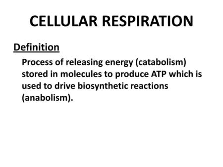 CELLULAR RESPIRATION Definition