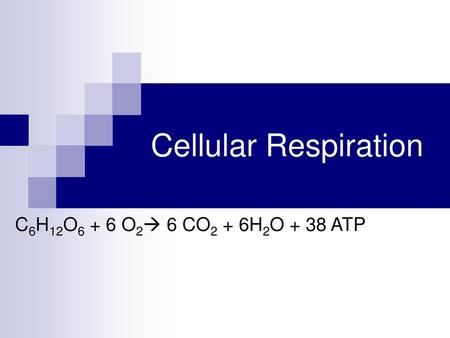 Cellular Respiration C6H12O6 + 6 O2 6 CO2 + 6H2O + 38 ATP.