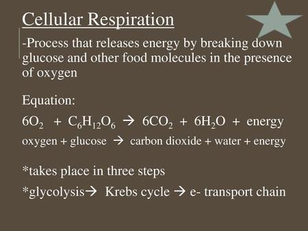 Cellular Respiration -Process that releases energy by breaking down glucose and other food molecules in the presence of oxygen Equation: 6O2 + C6H12O6.