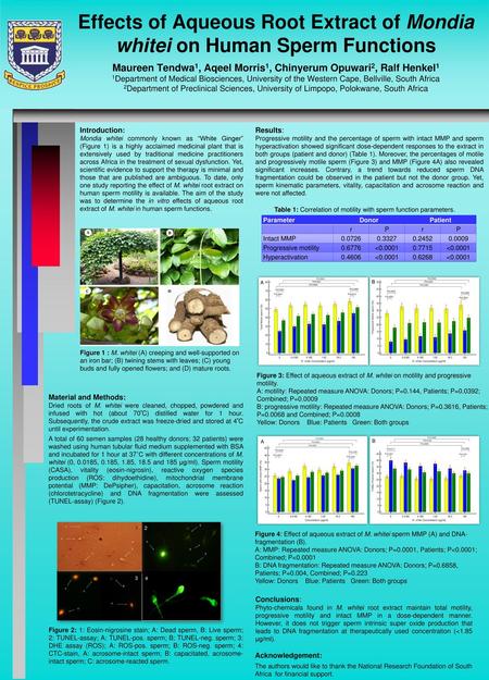 Effects of Aqueous Root Extract of Mondia whitei on Human Sperm Functions Maureen Tendwa1, Aqeel Morris1, Chinyerum Opuwari2, Ralf Henkel1 1Department.