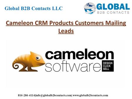 Cameleon CRM Products Customers Mailing Leads Global B2B Contacts LLC