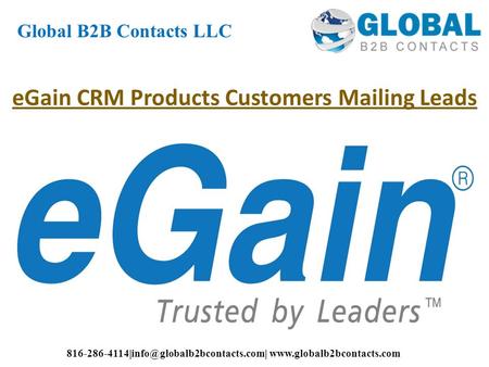 EGain CRM Products Customers Mailing Leads Global B2B Contacts LLC