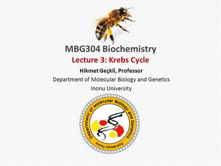 MBG304 Biochemistry Lecture 3: Krebs Cycle 