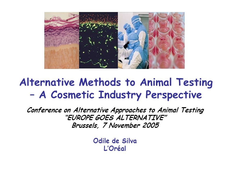 Conference on Alternative Approaches to Animal Testing - ppt download