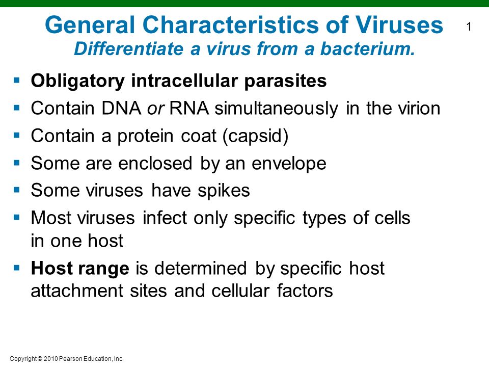 Characteristics about Viruses