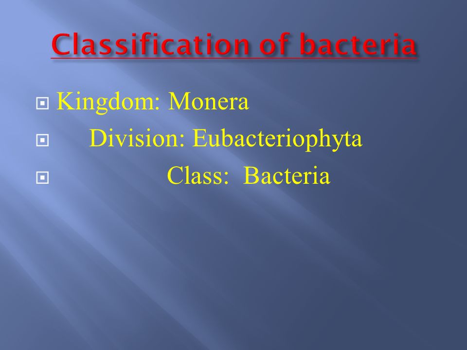 Classification Of Bacteria Ppt Video Online Download