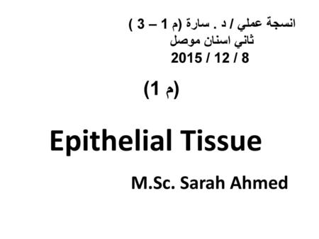 Epithelial Tissue M.Sc. Sarah Ahmed