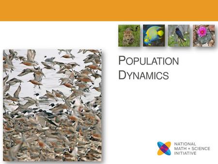 Population Dynamics.