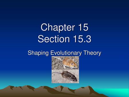 Shaping Evolutionary Theory