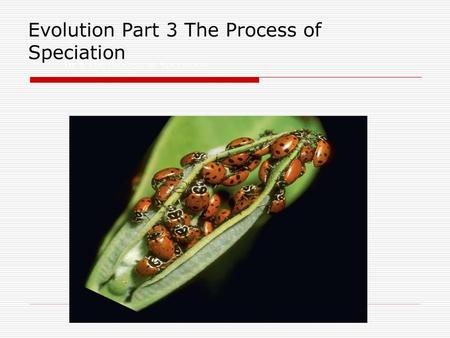 16-3 The Process of Speciation