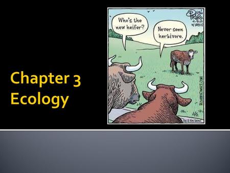 Chapter 3 Ecology.