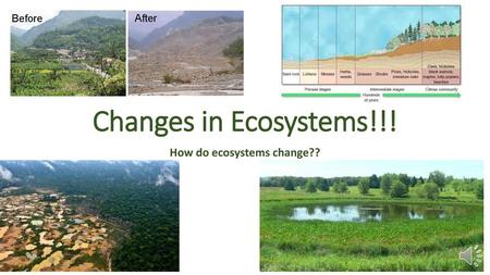 How do ecosystems change??