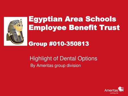Egyptian Area Schools Employee Benefit Trust Group #