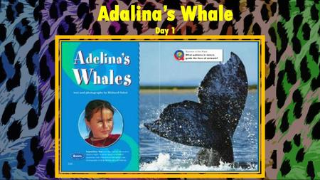 Adalina’s Whale Day 1.