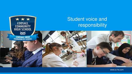 Student voice and responsibility
