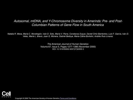 Autosomal, mtDNA, and Y-Chromosome Diversity in Amerinds: Pre- and Post- Columbian Patterns of Gene Flow in South America  Natalia R. Mesa, María C. Mondragón,