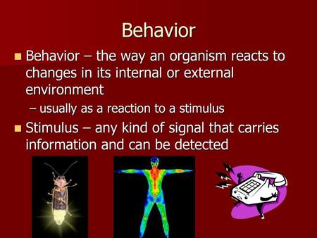 Behavior Behavior – the way an organism reacts to changes in its internal or external environment usually as a reaction to a stimulus Stimulus – any kind.