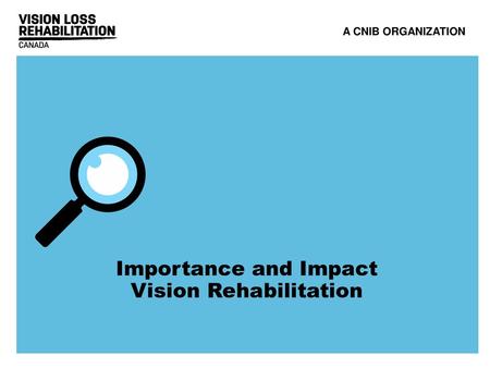 Vision Rehabilitation