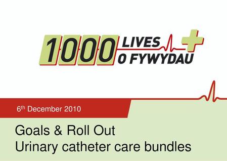 Goals & Roll Out Urinary catheter care bundles