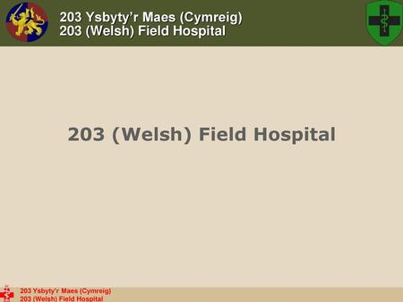 203 Ysbyty’r Maes (Cymreig) 203 (Welsh) Field Hospital