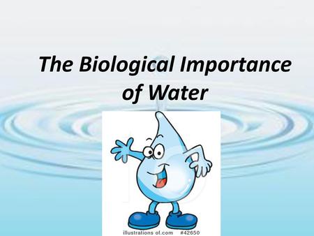 The Biological Importance of Water