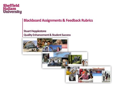 Blackboard Assignments & Feedback Rubrics