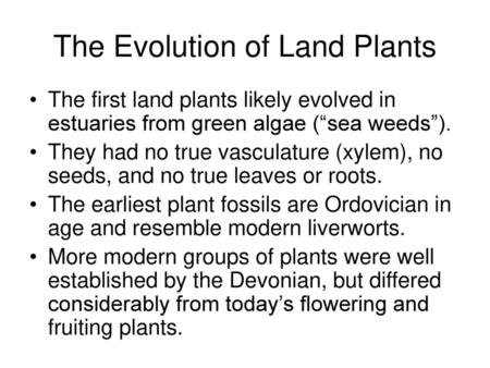 The Evolution of Land Plants
