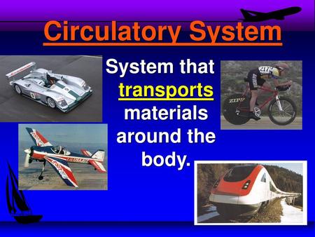 System that transports materials around the body.