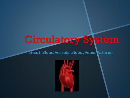 Heart, Blood Vessels, Blood, Veins, Arteries