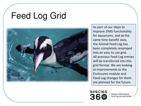 Feed Log Grid As part of our steps to improve ZIMS functionality