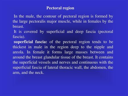 Pectoral region In the male, the contour of pectoral region is formed by the large pectoralis major muscle, while in females by the breast. It is covered.