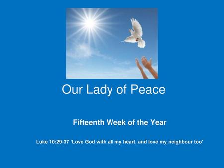 Our Lady of Peace Fifteenth Week of the Year