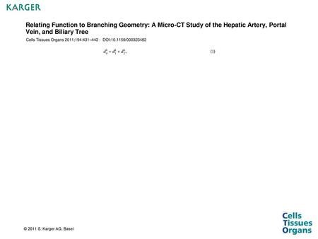 Relating Function to Branching Geometry: A Micro-CT Study of the Hepatic Artery, Portal Vein, and Biliary Tree Cells Tissues Organs 2011;194:431–442 -