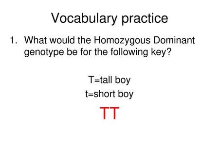 TT Vocabulary practice