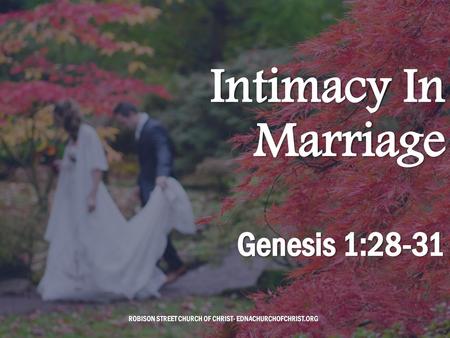 Intimacy In Marriage Genesis 1:28-31.