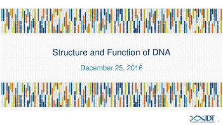 Structure and Function of DNA