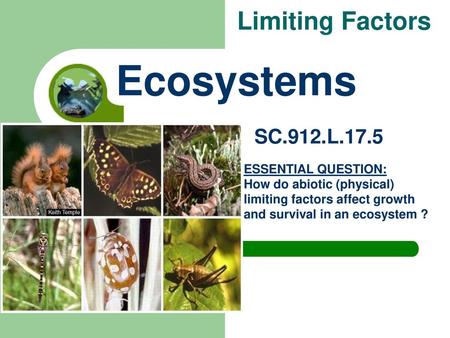 Ecosystems Limiting Factors SC.912.L.17.5 ESSENTIAL QUESTION: