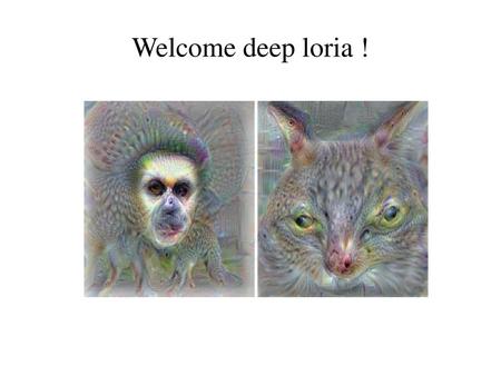 Welcome deep loria !.