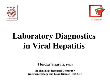 Laboratory Diagnostics in Viral Hepatitis