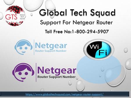 Support For Netgear Router