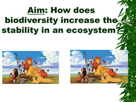 Aim: How does biodiversity increase the stability in an ecosystem?