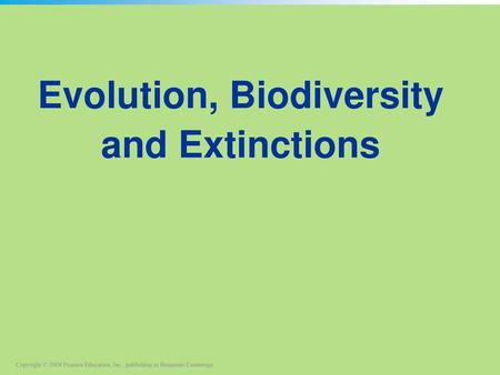 Evolution, Biodiversity and Extinctions