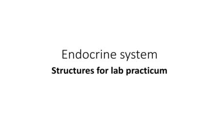 Structures for lab practicum