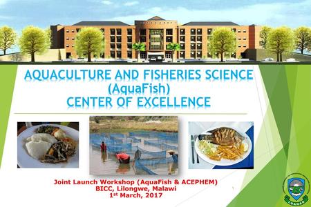 AQUACULTURE AND FISHERIES SCIENCE (AquaFish) CENTER OF EXCELLENCE