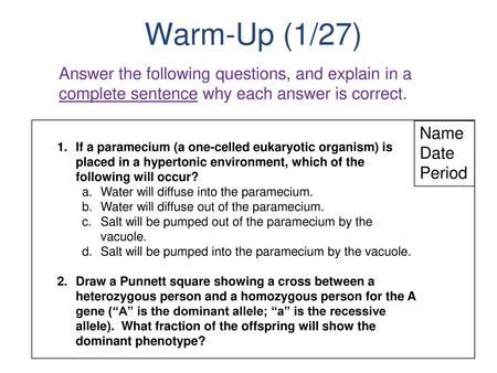 Warm-Up (1/27) Answer the following questions, and explain in a complete sentence why each answer is correct. Name Date Period If a paramecium (a one-celled.